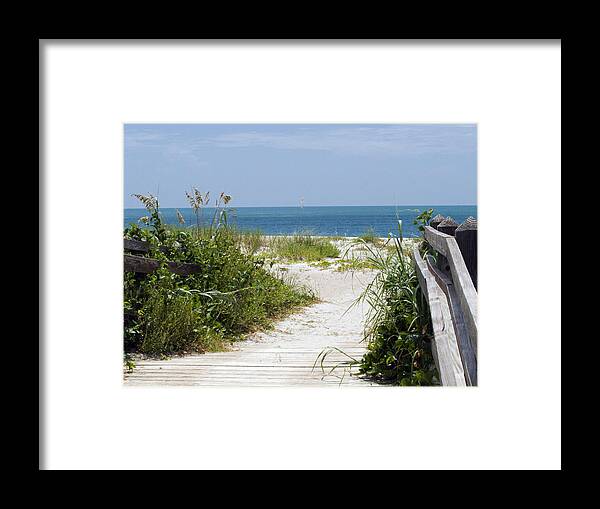 Florida; Beach; Ocean; Waves; Wave; Surf; Sand; Sandy; Coast; Shore; Atlantic; Cape; Canaveral; Scen Framed Print featuring the photograph Cape Canaveral Florida by Allan Hughes