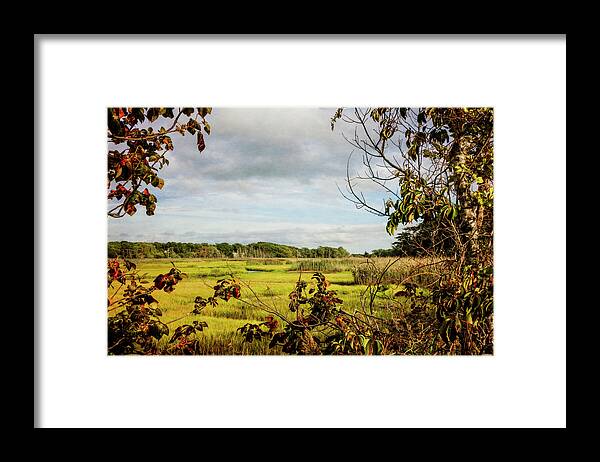 Clouds Framed Print featuring the photograph Cape Cod Marsh 3 by Frank Winters