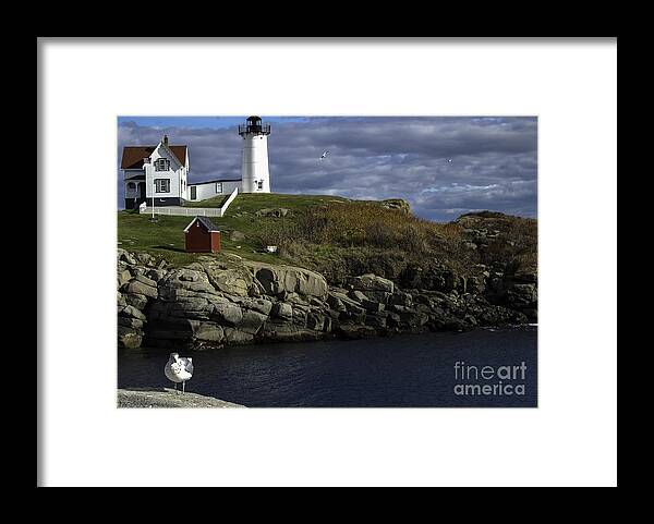 Cape Neddick Framed Print featuring the photograph Cape Neddick Lighthouse by Mim White