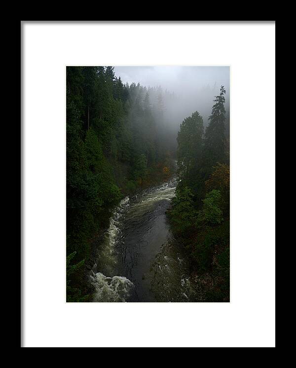 Vancouver Framed Print featuring the photograph Capilano Canyon by Steven Richman