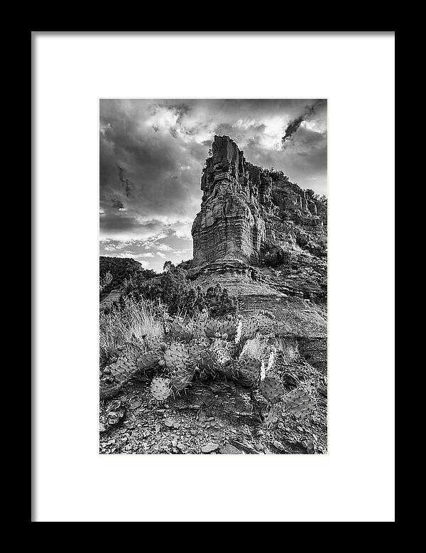 Caprock Canyons State Park Framed Print featuring the photograph Caprock and Cactus by Stephen Stookey