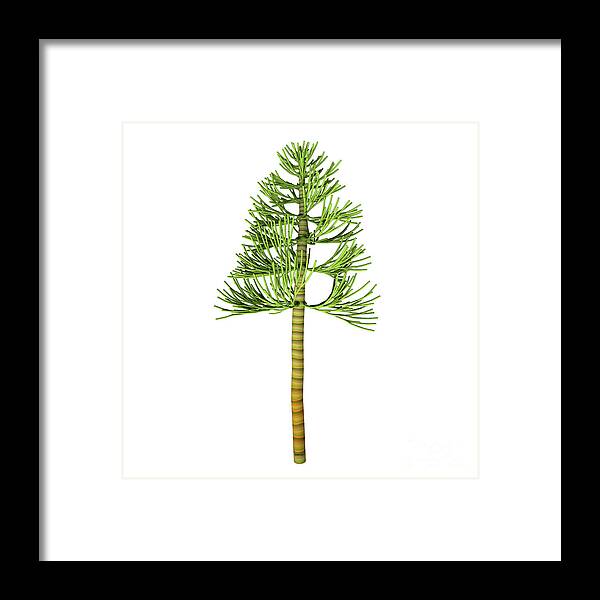 3d Illustration Framed Print featuring the digital art Carboniferous Pine Tree by Corey Ford