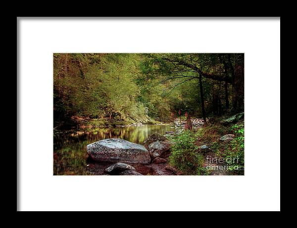 Red Cardinal Flowers Framed Print featuring the photograph Cardinal Flowers Along The Stream by Mike Eingle