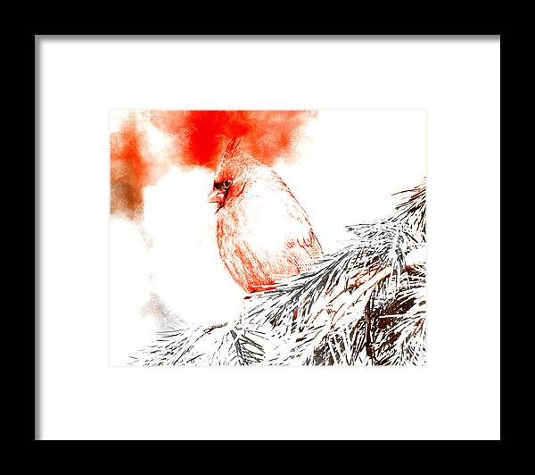 Cardinal Framed Print featuring the digital art Cardinal in Snow by Femina Photo Art By Maggie