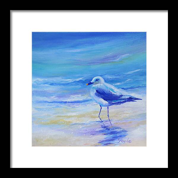 Southern Framed Print featuring the painting Carolina Gull by Pamela Poole