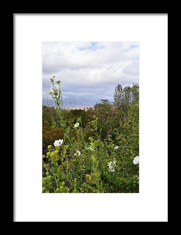Caroline Park Afternoon Framed Print featuring the photograph Caroline Park Afternoon by Glenn McCarthy Art and Photography