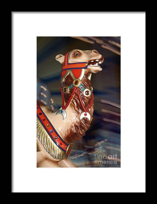 Carousel Framed Print featuring the photograph carousel animals - Carousel Camel by Sharon Hudson
