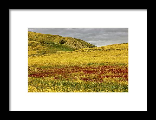Blm Framed Print featuring the photograph Carrizo Plain Super Bloom 2017 by Peter Tellone