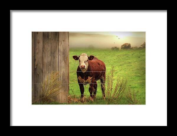 Cow Framed Print featuring the photograph Carsonville Cow 1 by Lori Deiter