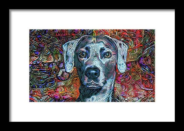 Lacy Dog Framed Print featuring the digital art Cash the Blue Lacy Dog by Peggy Collins