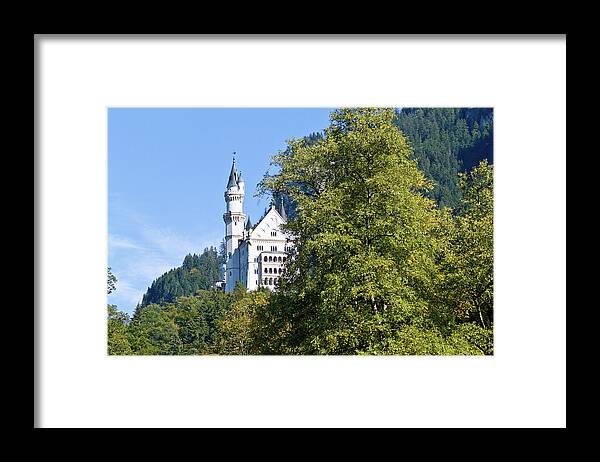 Schloss Framed Print featuring the photograph Castle 4 by Bernard Barcos