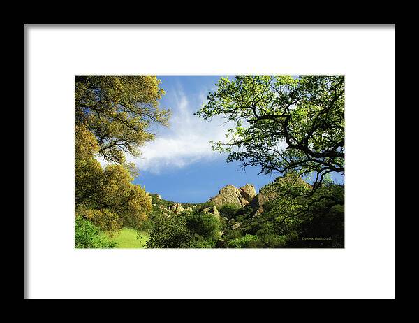 Castle Rock Park Framed Print featuring the photograph Castle Rock by Donna Blackhall