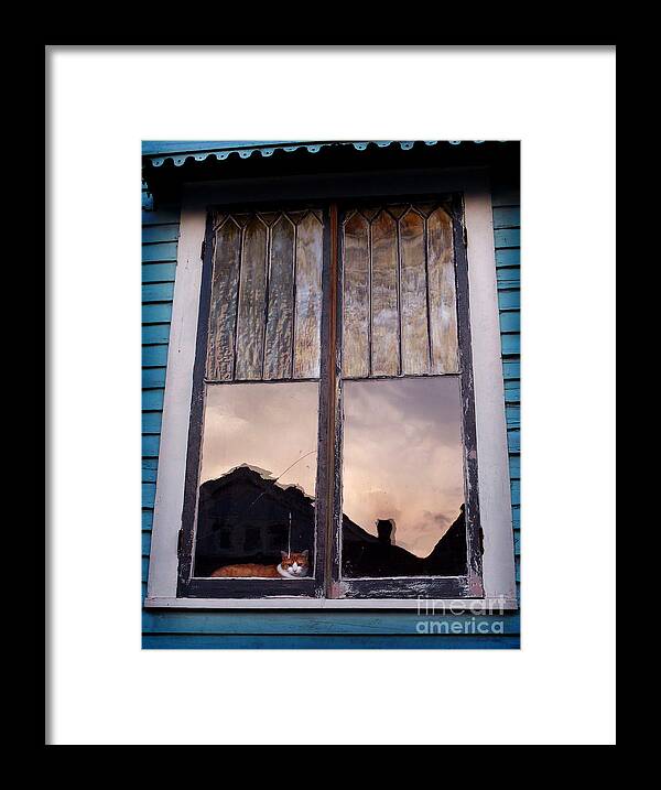 Cat Framed Print featuring the photograph Cat in the Window by Jeanne Woods