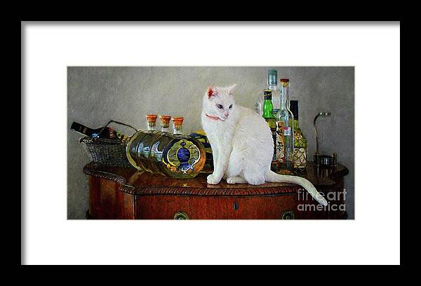 John+kolenberg Framed Print featuring the photograph Cat On The Liquor Cabinet by John Kolenberg