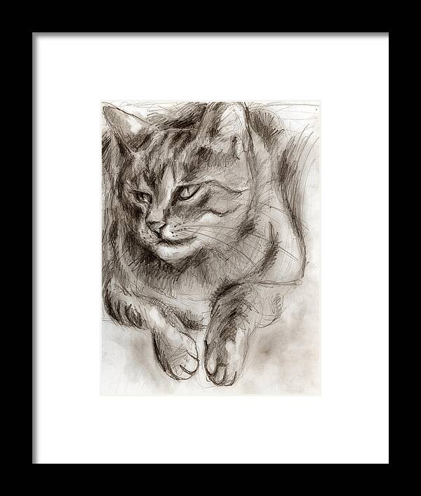 Cat Drawing Framed Print featuring the drawing Cat study drawing no one by Hiroko Sakai