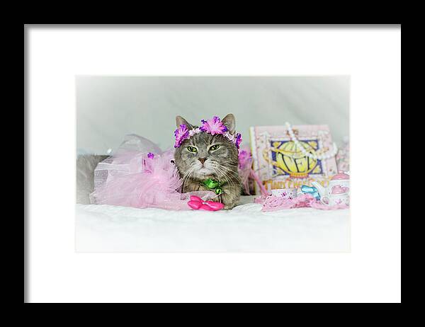Cat Framed Print featuring the photograph Cat Tea Party by Tammy Ray