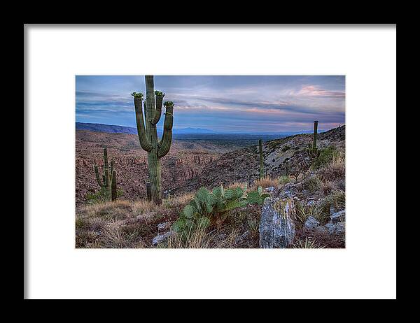 Tucson Framed Print featuring the photograph Catalina Mountains color sunset by Dave Dilli