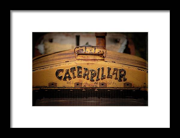 Tl Wilson Photography Framed Print featuring the photograph Caterpillar by Teresa Wilson
