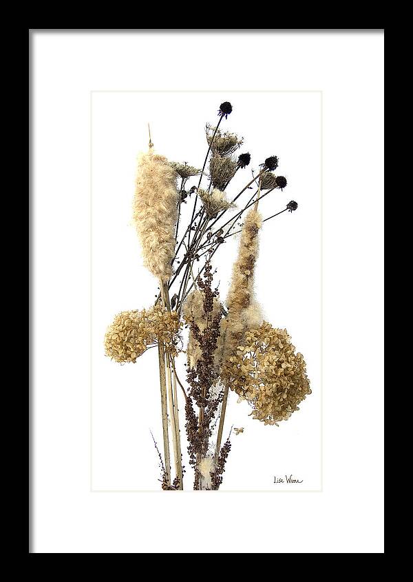 Lise Winne Framed Print featuring the digital art Cattails and November Flowers II by Lise Winne