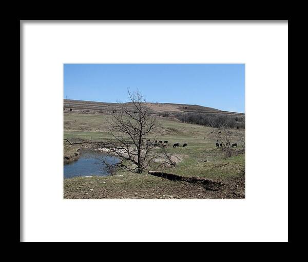 Cattle Framed Print featuring the photograph Cattle Along Deep Creek by Keith Stokes