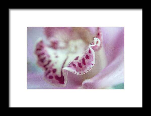 Jenny Rainbow Fine Art Photography Framed Print featuring the photograph Cattleya Orchid Abstract 2 by Jenny Rainbow
