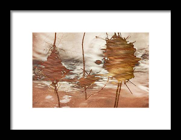 Flashfloods Framed Print featuring the photograph Caught In The Flash by Deborah Hughes