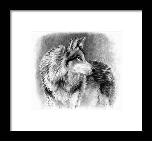 Wolf Framed Print featuring the drawing Cautious Eyes by Carla Kurt