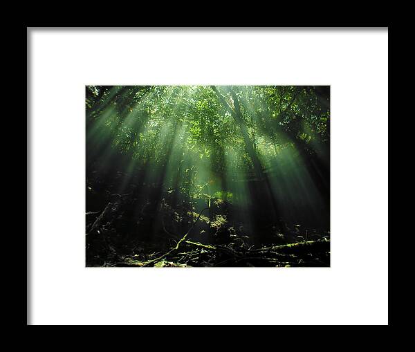 Scuba Framed Print featuring the photograph Cave Diving in Mexico by Alexandra Till