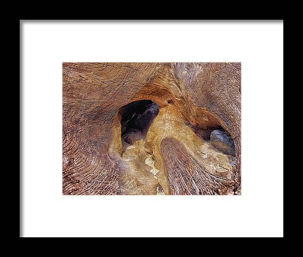 Driftwood Framed Print featuring the photograph Cave In Disguise by Kathi Mirto