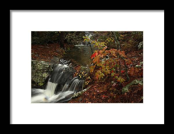 Cecil Cove Framed Print featuring the photograph Cecil Cove Runoff by Michael Dougherty