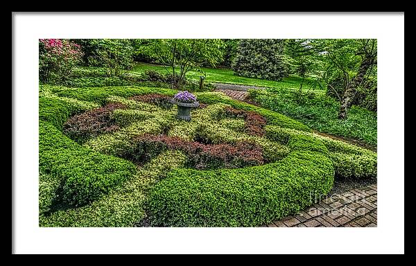 New Jersey Framed Print featuring the photograph Celtic Topiary at Frelinghuysen Arboretum by Christopher Lotito