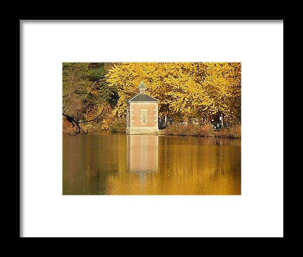 Fall Framed Print featuring the photograph Center of Attention by Barbara Hayes