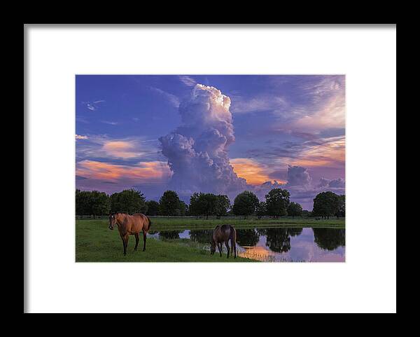 Ladscape Framed Print featuring the photograph Central Florida Summer by Justin Battles