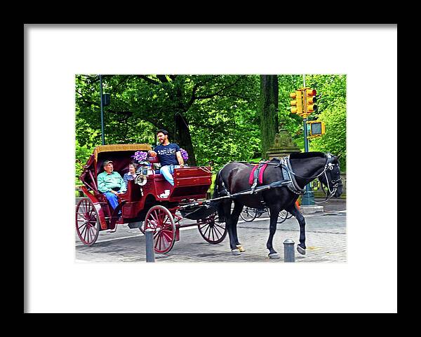 Central Park Framed Print featuring the photograph Central Park 5 by Ron Kandt