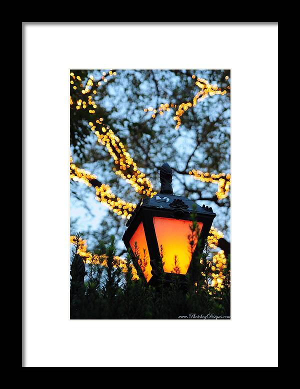 Central Park Framed Print featuring the photograph Central Park 6546 by PhotohogDesigns