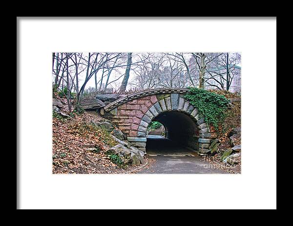 Nyc Framed Print featuring the photograph Central Park, NYC Bridge Landscape by Sandy Moulder