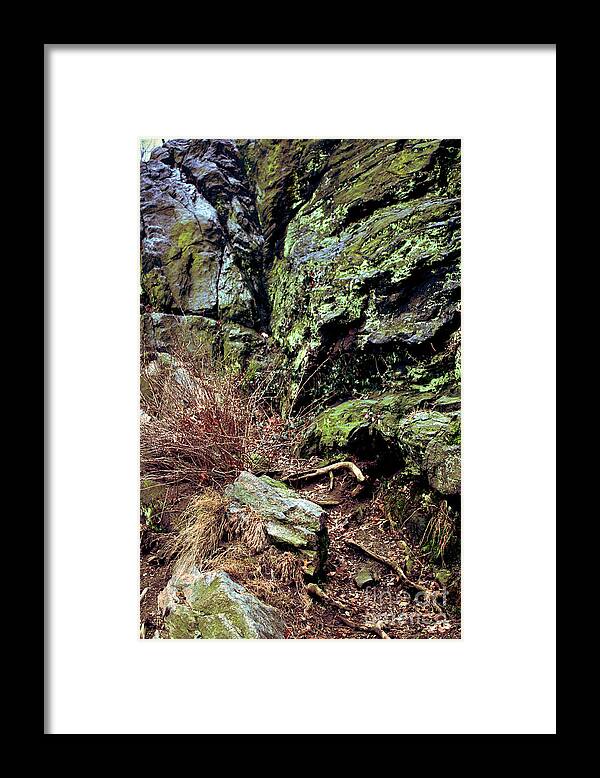 Rock Framed Print featuring the photograph Central Park Rock Formation by Sandy Moulder