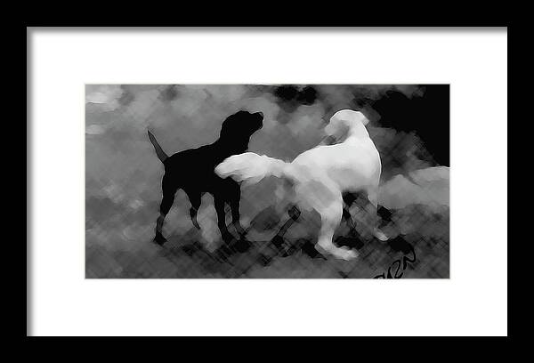 Dogs Framed Print featuring the photograph Challenger by Tom Dickson