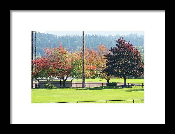 Changing Leaves At Skagit Play Field Framed Print featuring the photograph Changing Leaves At Skagit Valley Play Field by Tom Cochran