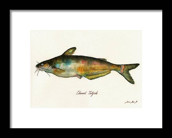 Channel Catfish Framed Print featuring the painting Channel Catfish fish animal watercolor painting by Juan Bosco
