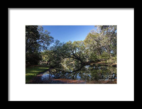  Framed Print featuring the photograph Charles Towne Landing SC by ELDavis Photography