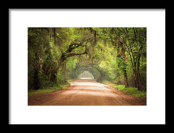 Dirt Road Framed Print featuring the photograph Charleston SC Edisto Island Dirt Road - The Deep South by Dave Allen