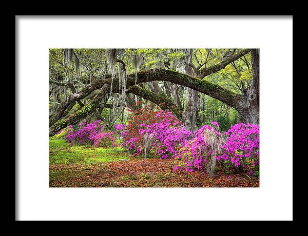 Charleston Framed Print featuring the photograph Charleston South Carolina Spring Flowers Lowcountry Landscape Photography by Dave Allen