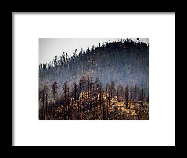 Yosemite Framed Print featuring the photograph Charred by Scott Fracasso