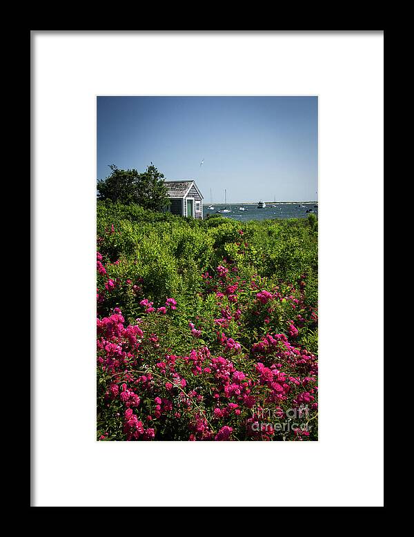 Chatham Framed Print featuring the photograph Chatham Boathouse by Jim Gillen