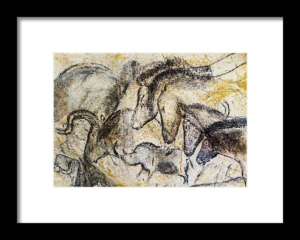 Chauvet Horse Framed Print featuring the photograph Chauvet Horses Aurochs and Rhinoceros by Weston Westmoreland