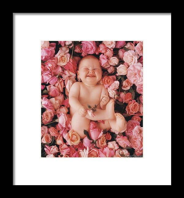 Roses Framed Print featuring the photograph Cheesecake by Anne Geddes