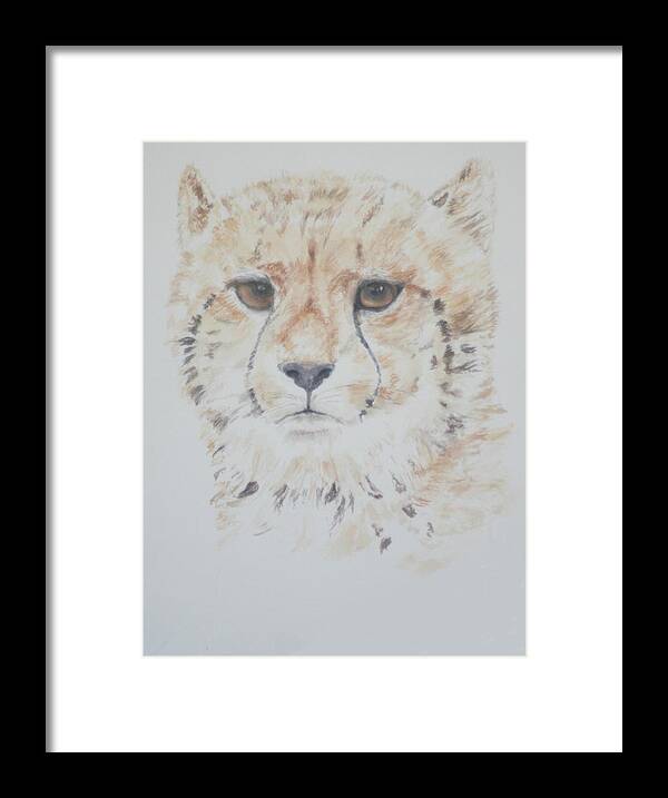 Cheetah Framed Print featuring the painting Cheetah Cushion by David Capon