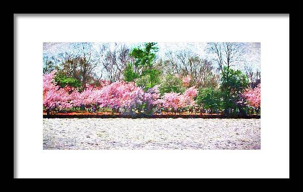Cherry Blossom Day Framed Print featuring the photograph Cherry Blossom Day by Reynaldo Williams