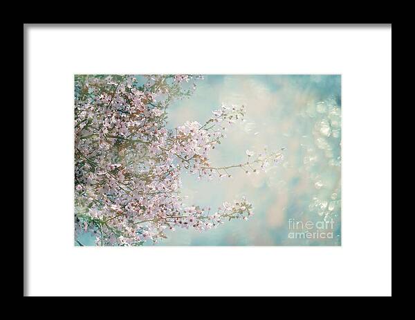 Blossom Framed Print featuring the photograph Cherry Blossom Dreams by Linda Lees